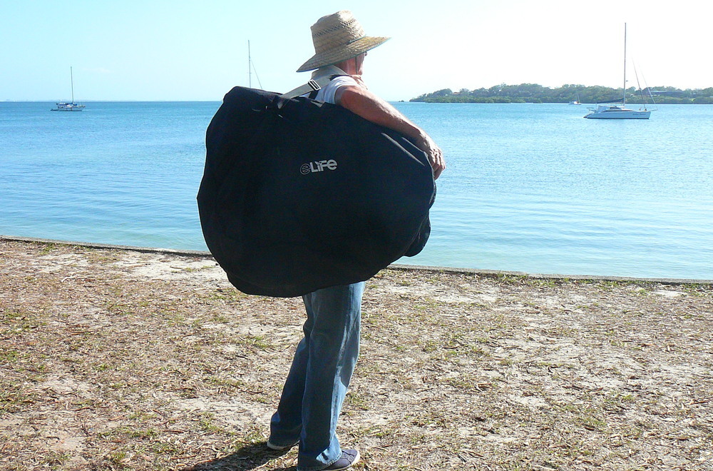 safeway elife electric bike carry bag