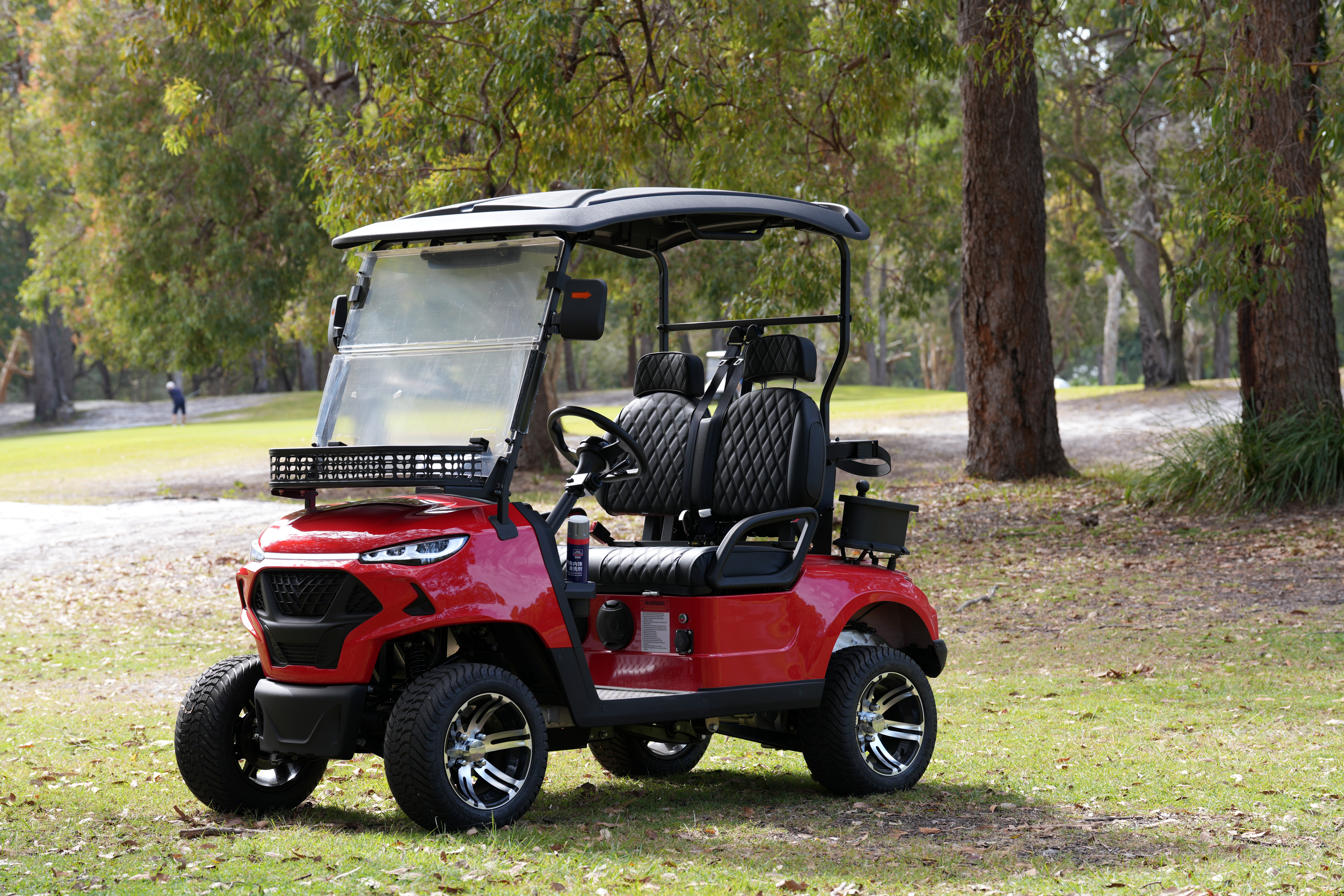 2-seats golf-carts electric bike